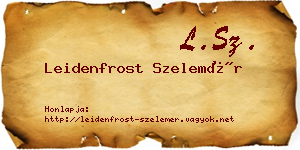 Leidenfrost Szelemér névjegykártya